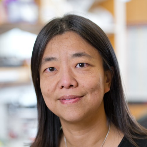 Vivian G. Cheung, MD